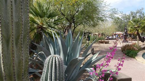 Hotels near Carefree Desert Gardens, Carefree on Tripadvisor: Find 8,098 traveller reviews, 5,555 candid photos, and prices for 16 hotels near Carefree Desert Gardens in Carefree, AZ.